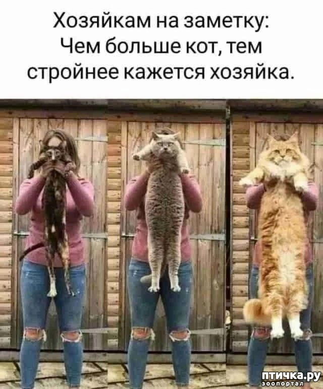  4:  