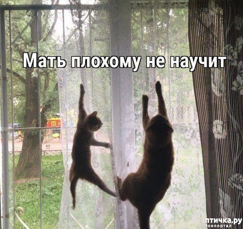  8:  