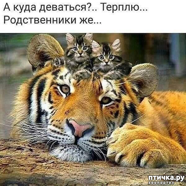  9:  