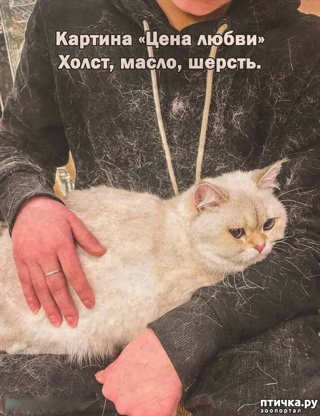  10:  