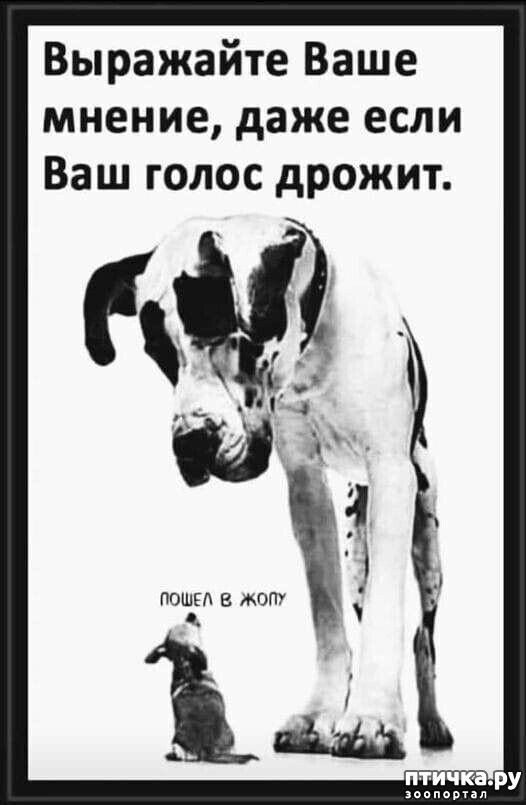 11:  