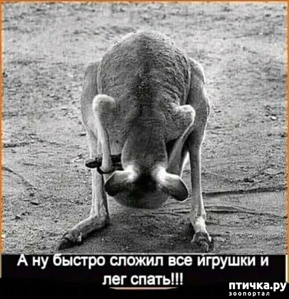  13:  