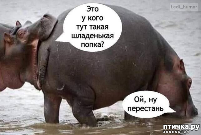  14:  