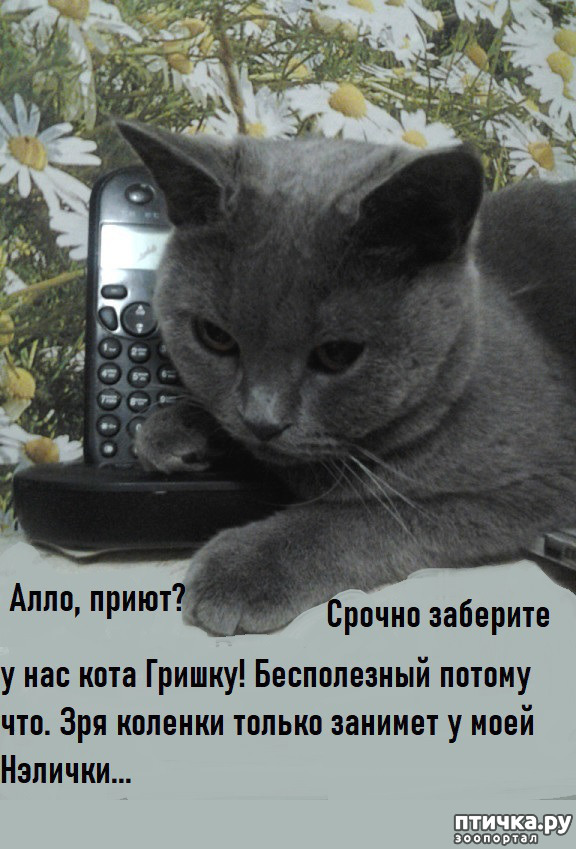  2:  - !