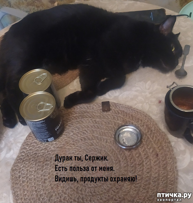  3:  - !