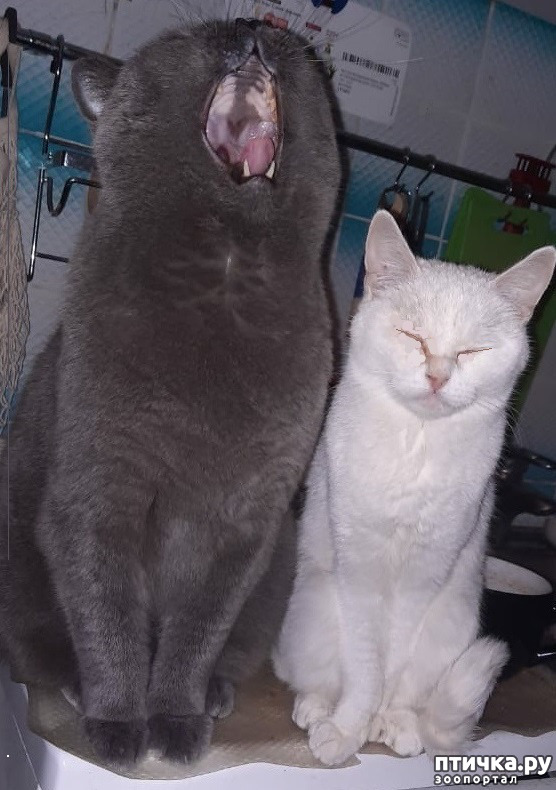  4:  - !