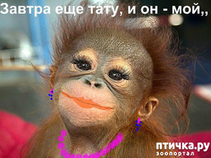 фото: От улыбки станет день светлей...