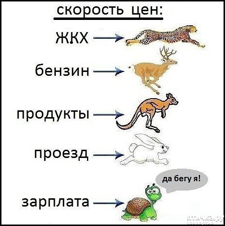  6:     ...