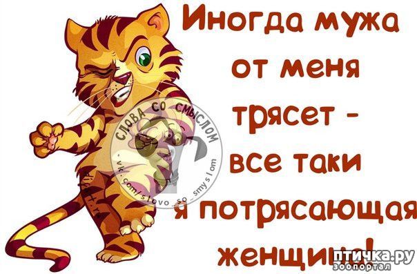  11:     ...