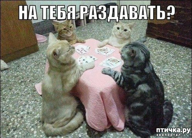  13:     ...