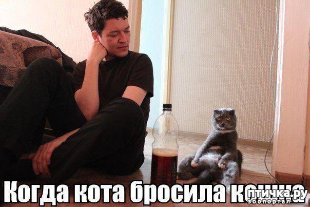  15:     ...