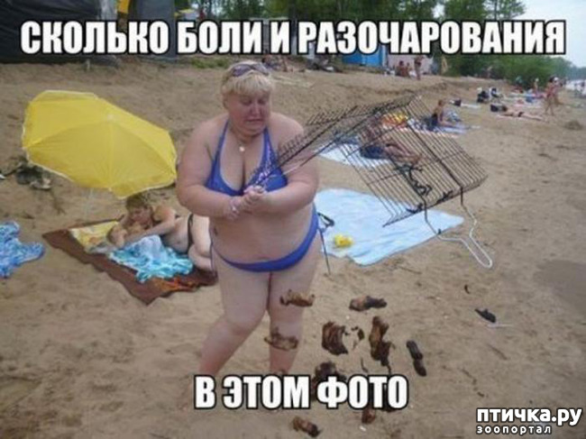  18:     ...