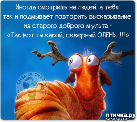  27:     ...