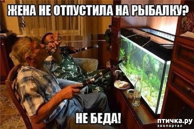  30:     ...