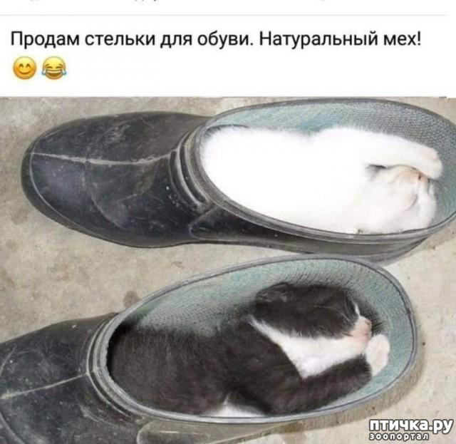  28:     ...
