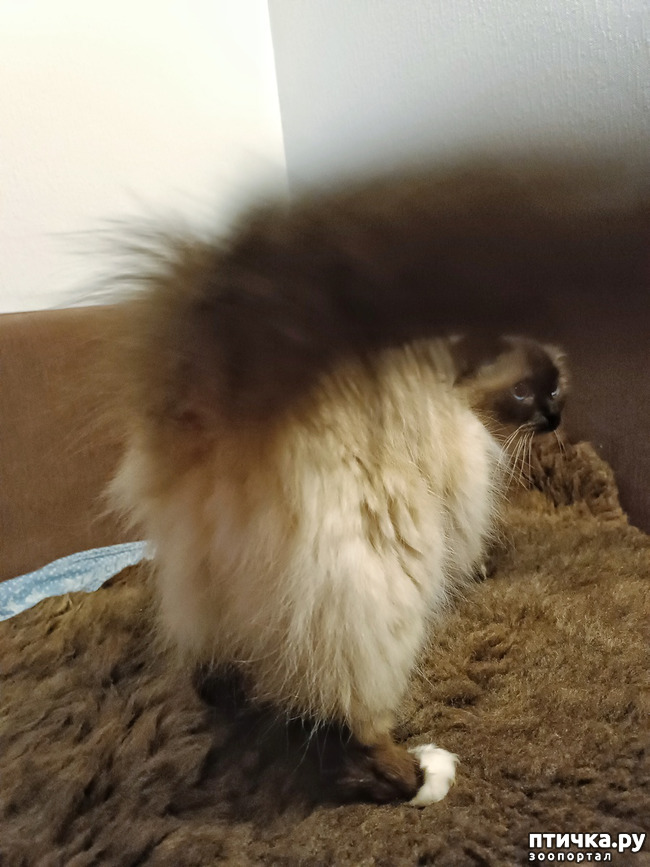  4:  ,  ,   !