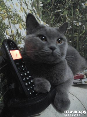 :  -"" .