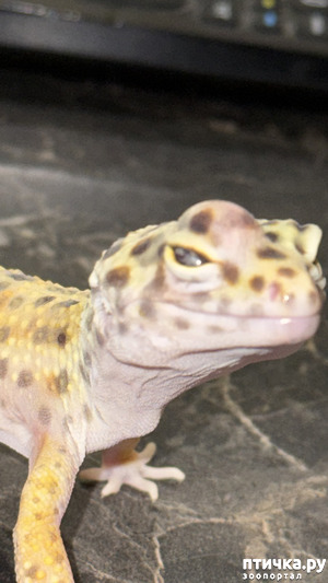 :  ,      ,   ,        .       