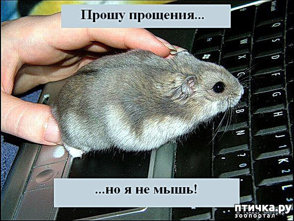  3:     