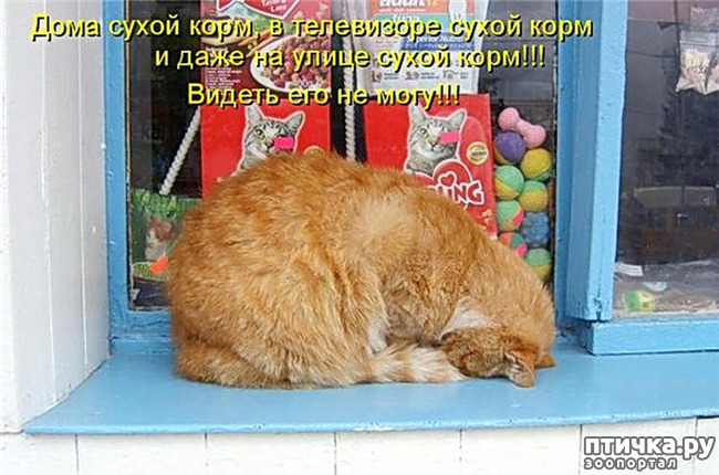  4:     