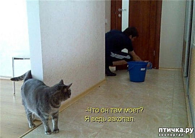  5:     
