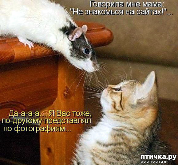  6:     