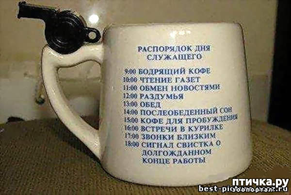  11:     