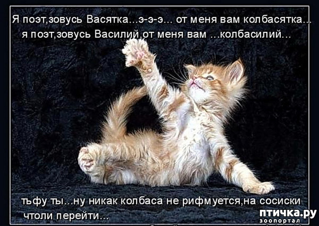  12:     