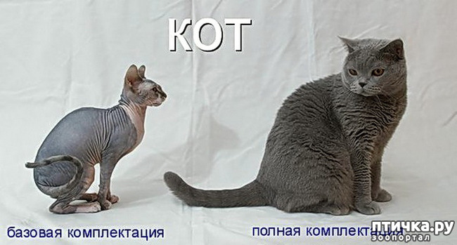  13:     