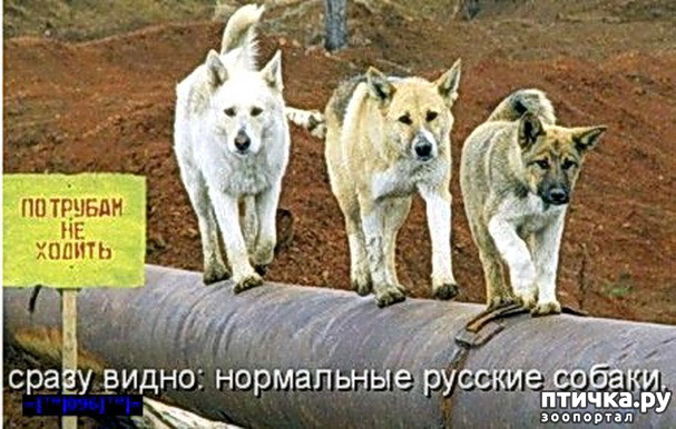  14:     