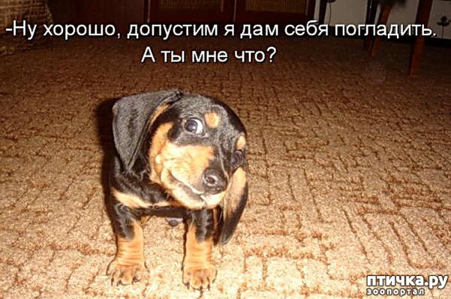  16:     