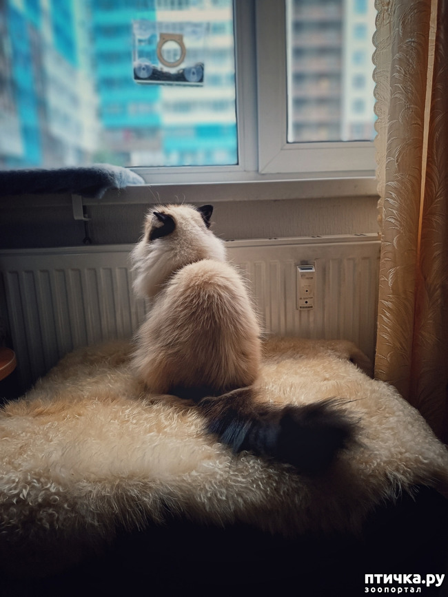  1: 