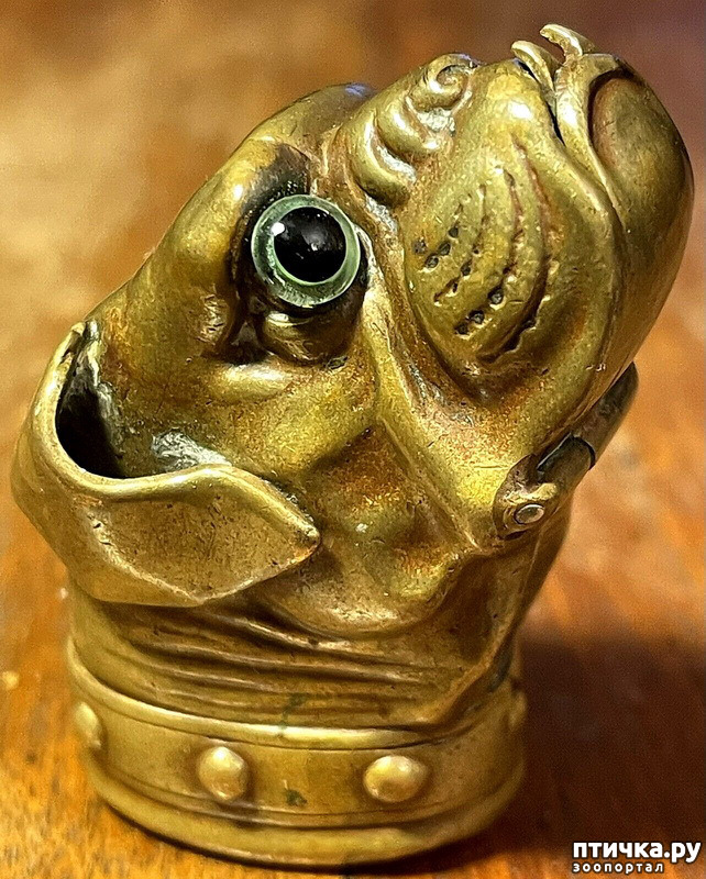  5:  
