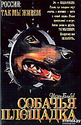  9:  