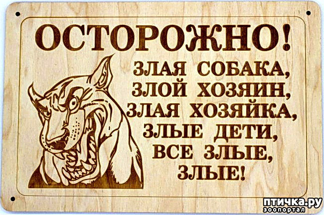  12:  