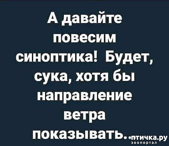 фотография 5: Животный юмор фото 5: Животный юмор