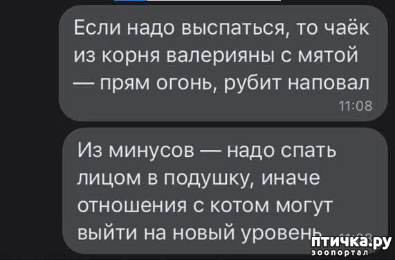 фотография 7: Животный юмор фото 7: Животный юмор