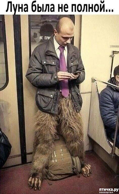 фотография 6: Животный юмор фото 6: Животный юмор