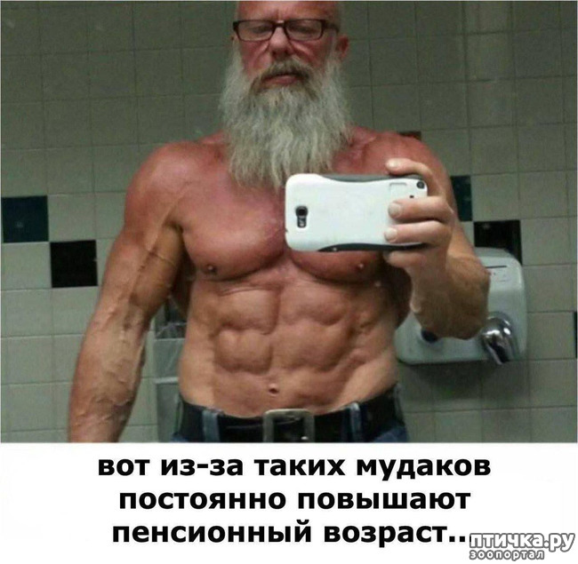 фотография 9: Животный юмор фото 9: Животный юмор