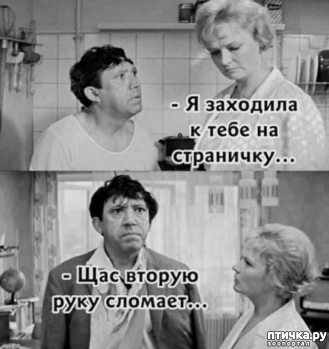 фотография 24: Животный юмор фото 24: Животный юмор