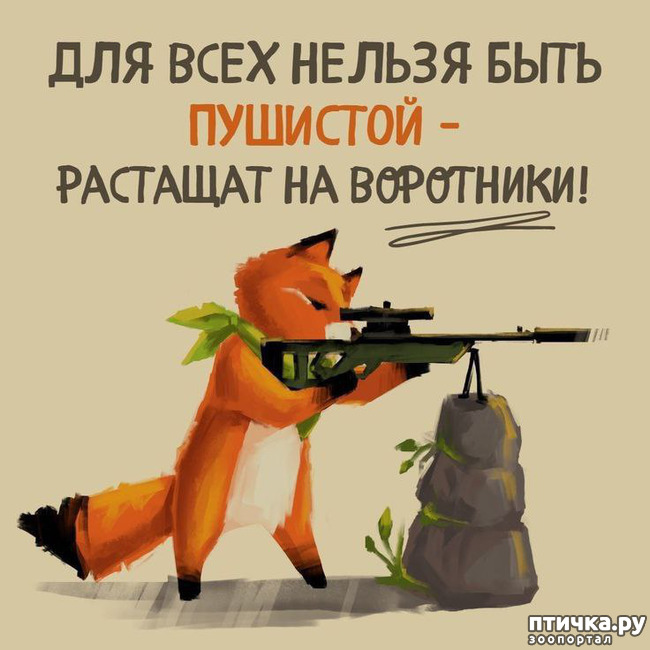 фотография 25: Животный юмор фото 25: Животный юмор