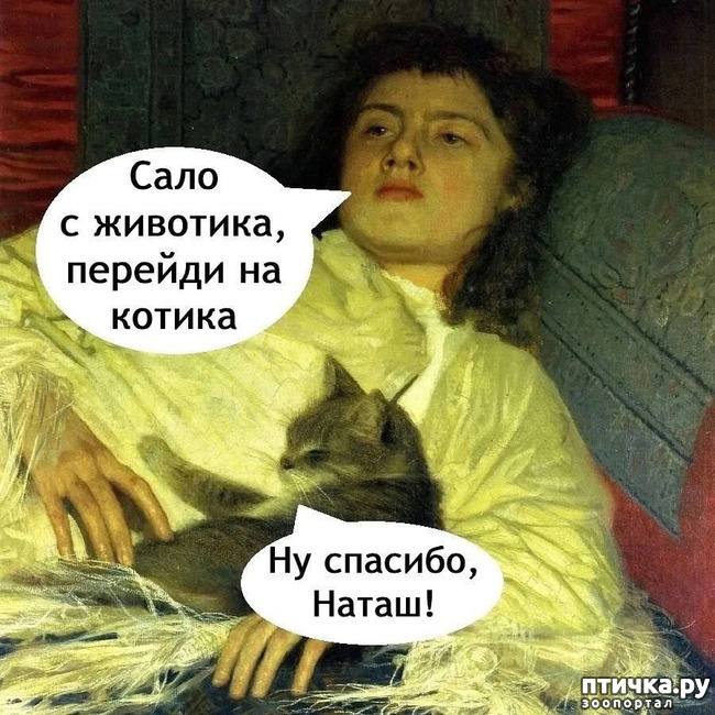 фотография 19: Животный юмор фото 19: Животный юмор