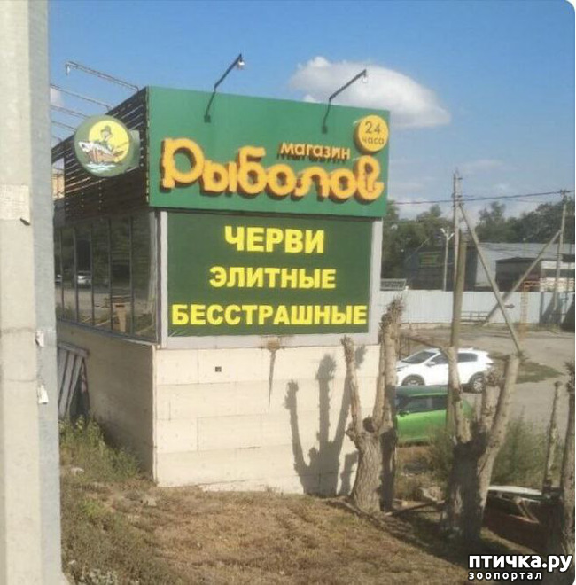 фотография 26: Животный юмор фото 26: Животный юмор