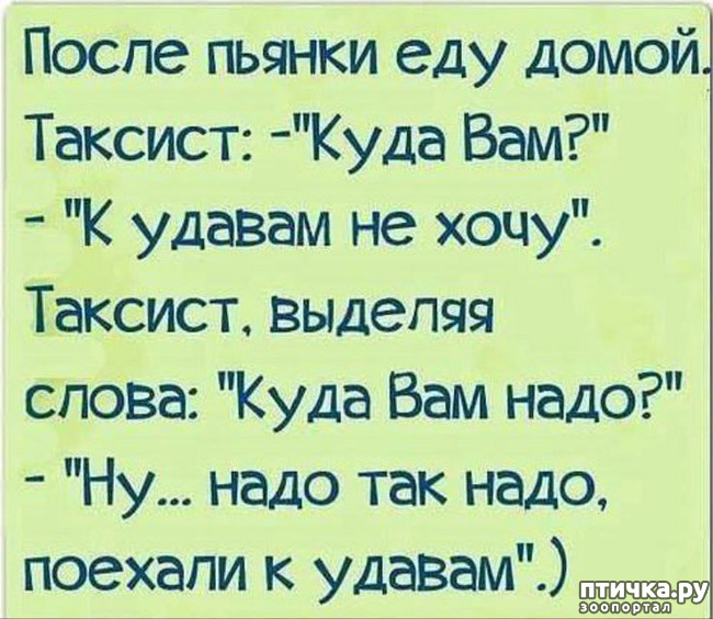 фотография 27: Животный юмор фото 27: Животный юмор