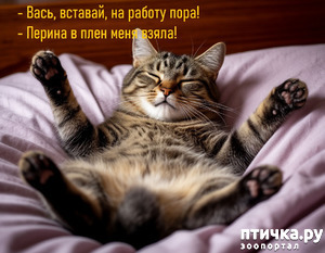 :  )))