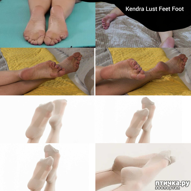  1: Kendra Lust Feet Foot