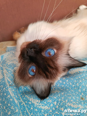 ����: ����� ��� ������