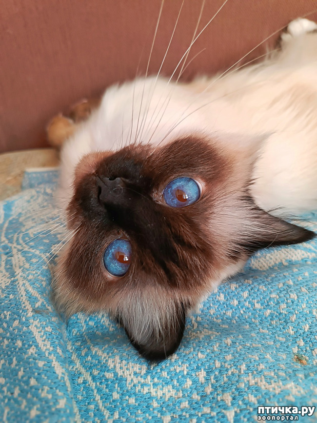 ���� 1: ����� ��� ������