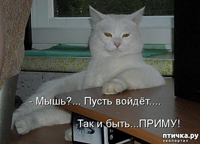 ���� 1: ���������, �������!