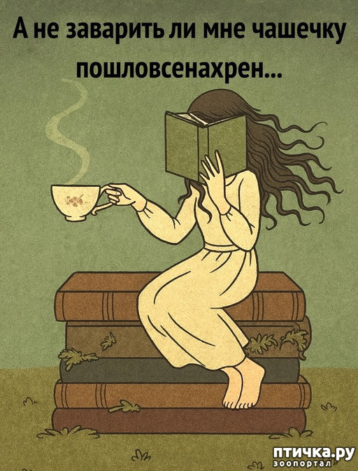 ���� 2: ���������, �������!